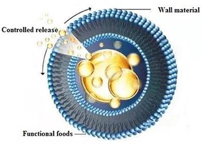 Preparation of starch-based functional food nano-microcapsule delivery system and its controlled release characteristics